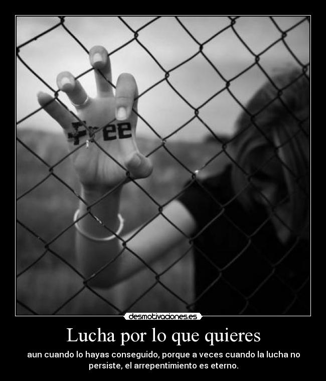 Lucha por lo que quieres - 