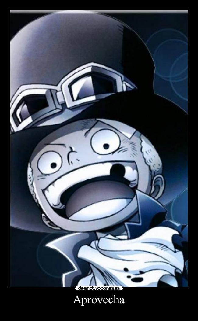 carteles porque pase que pase sigo siendo aquel one piece desmotivaciones