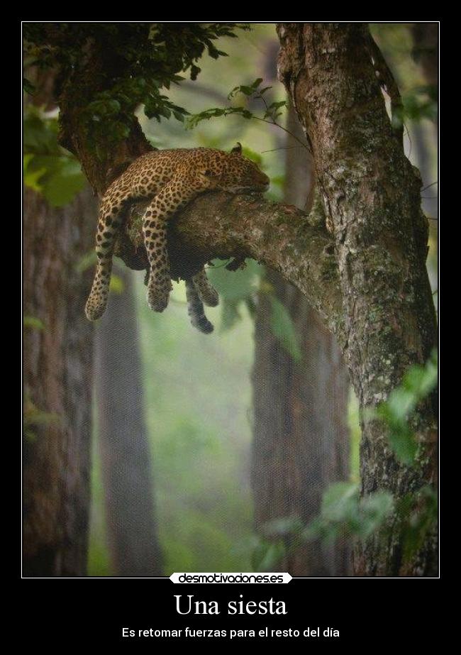 Una siesta - Es retomar fuerzas para el resto del día