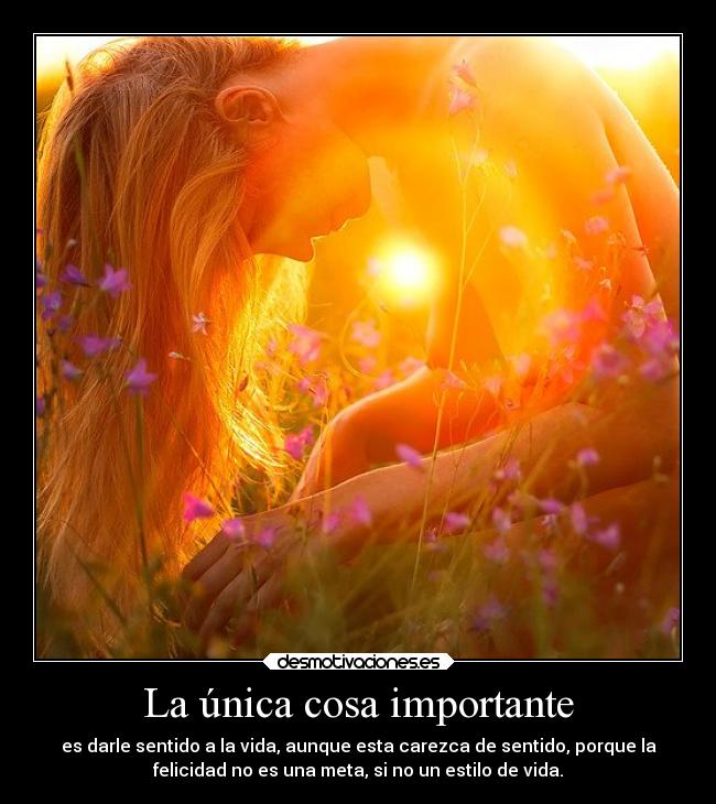 carteles vida desmotivaciones