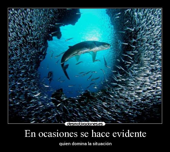 En ocasiones se hace evidente -