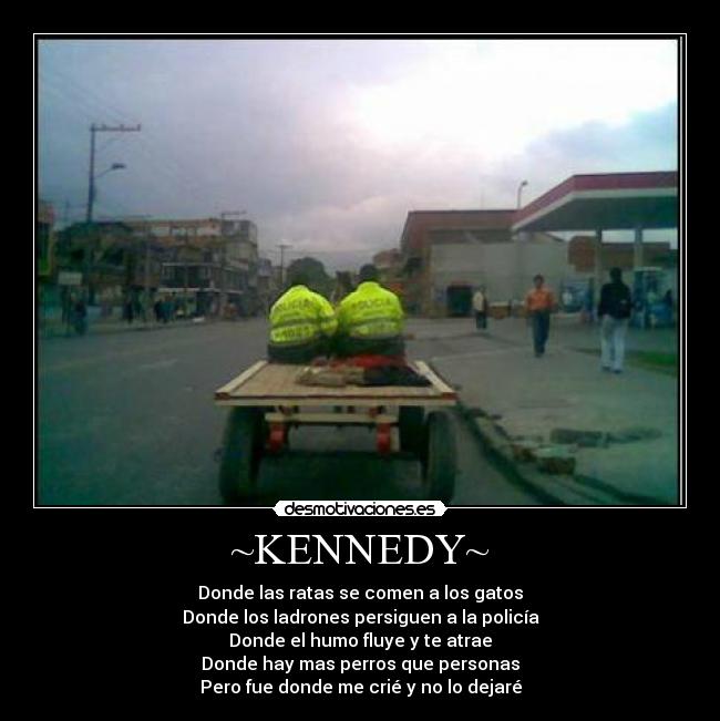 ~KENNEDY~ - Donde las ratas se comen a los gatos
Donde los ladrones persiguen a la policía
Donde el humo fluye y te atrae
Donde hay mas perros que personas
Pero fue donde me crié y no lo dejaré