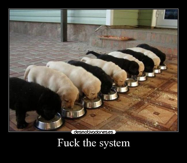 Fuck the system -