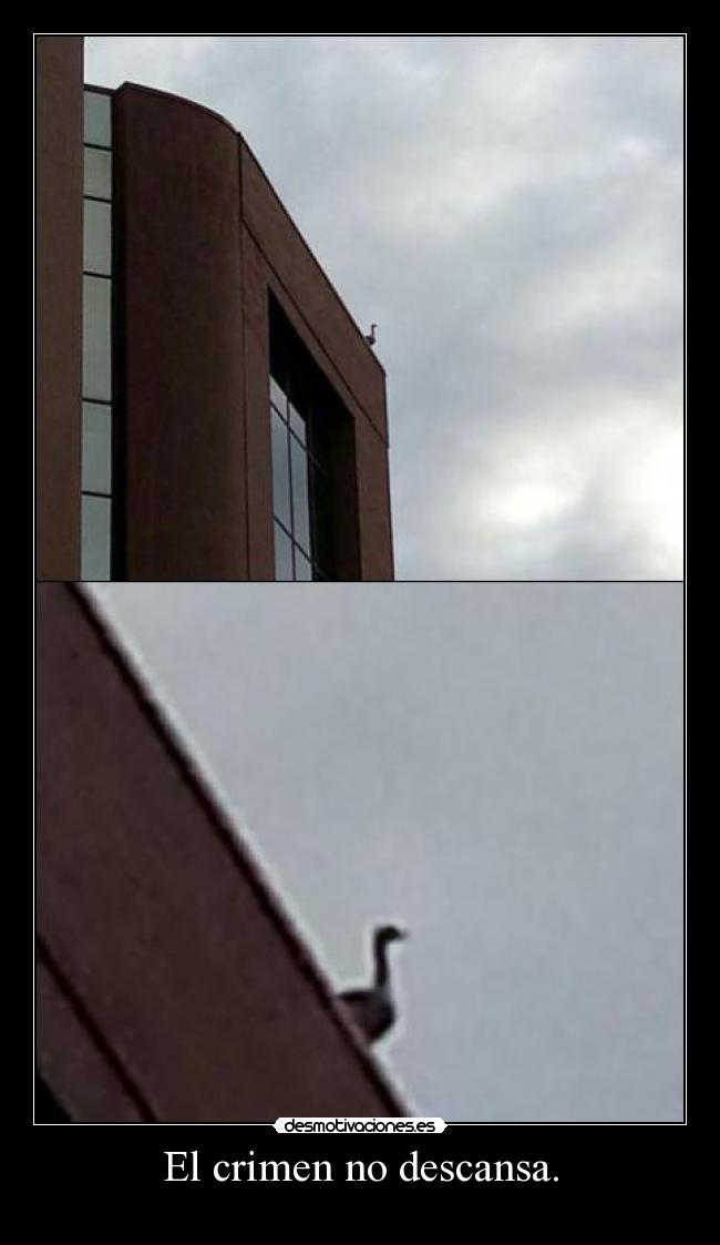 El crimen no descansa. -