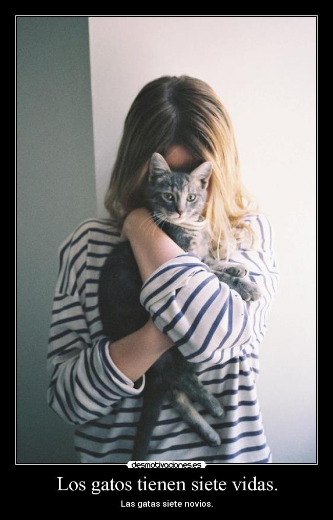 Los gatos tienen siete vidas. - Las gatas siete novios.