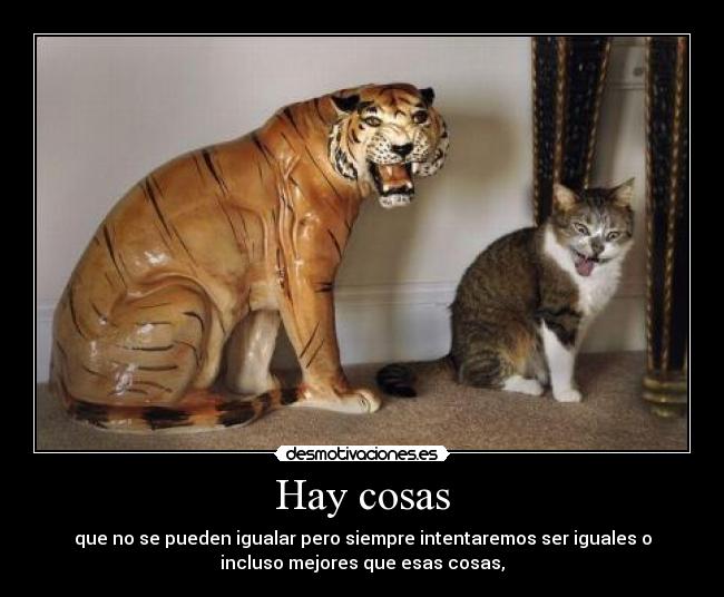 Hay cosas - que no se pueden igualar pero siempre intentaremos ser iguales o
incluso mejores que esas cosas,