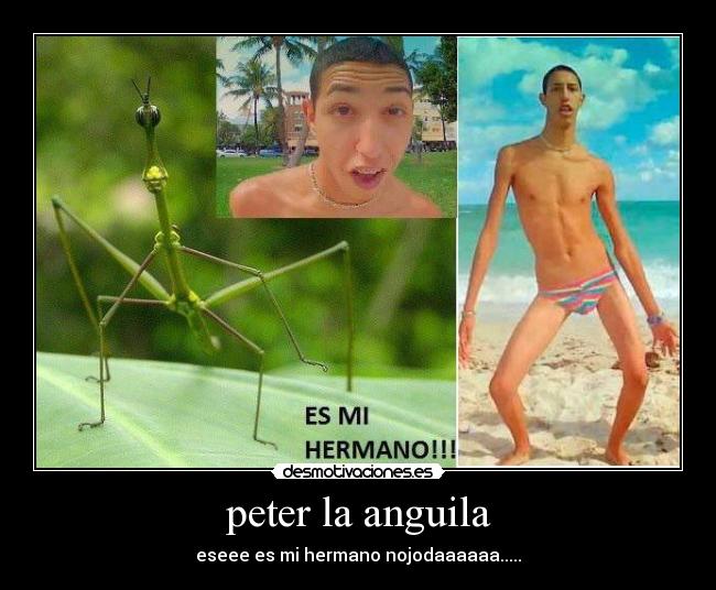 carteles alegria desmotivaciones