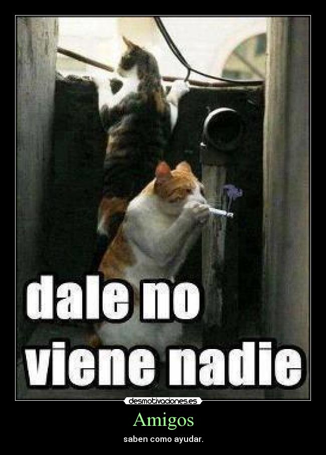 Amigos - saben como ayudar.
