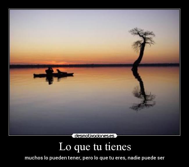 Lo que tu tienes -
