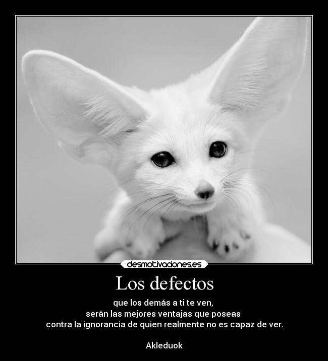 Los defectos -