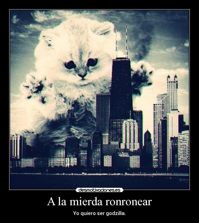 carteles gato desmotivaciones