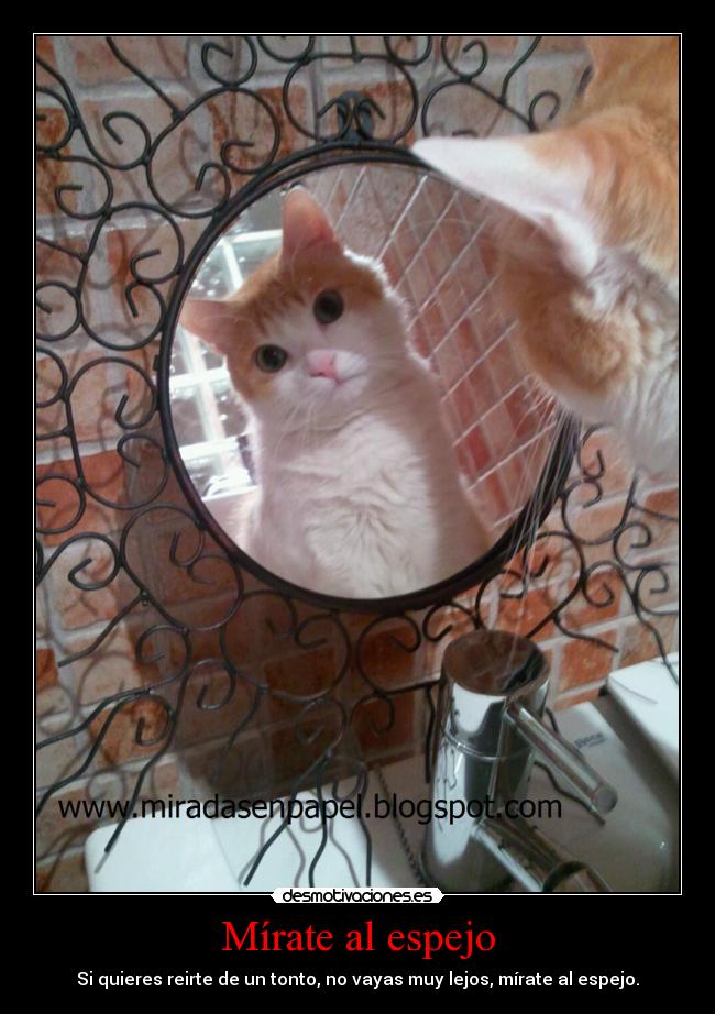 Mírate al espejo - Si quieres reirte de un tonto, no vayas muy lejos, mírate al espejo.