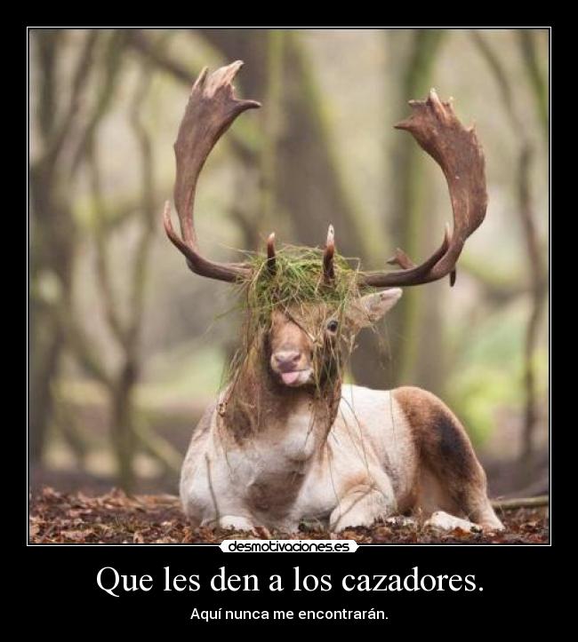 carteles xdddd psilocibina fuente imagen iraffiruse net desmotivaciones