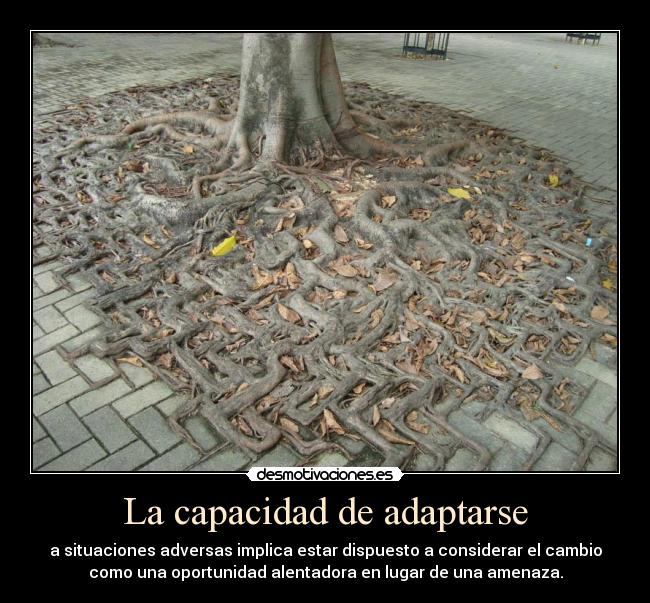 La capacidad de adaptarse -