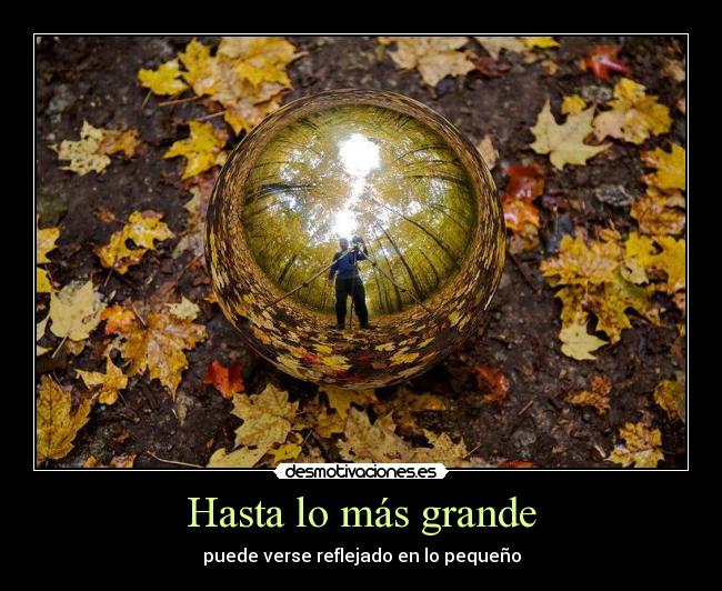 Hasta lo más grande - puede verse reflejado en lo pequeño