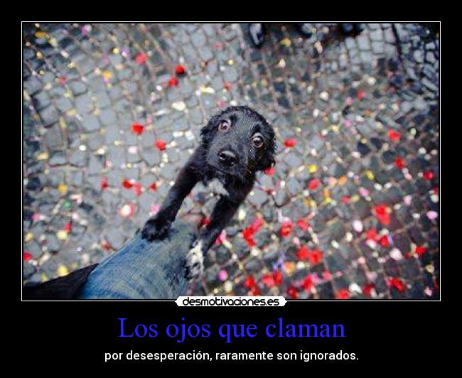 Los ojos que claman - 