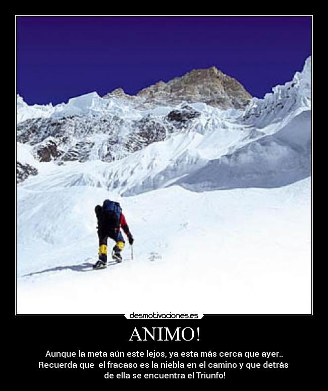 ANIMO! - 