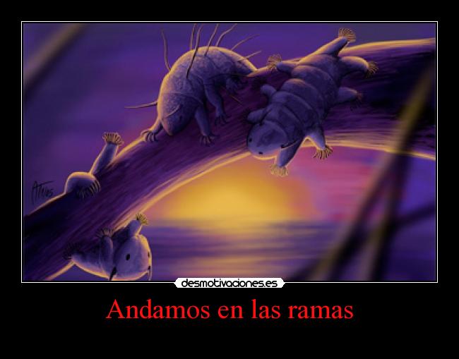 Andamos en las ramas - 