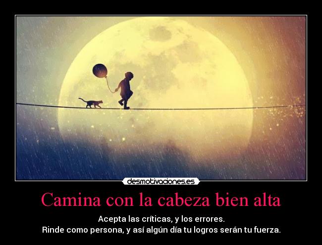 carteles criticas vuelvo demos desmotivaciones