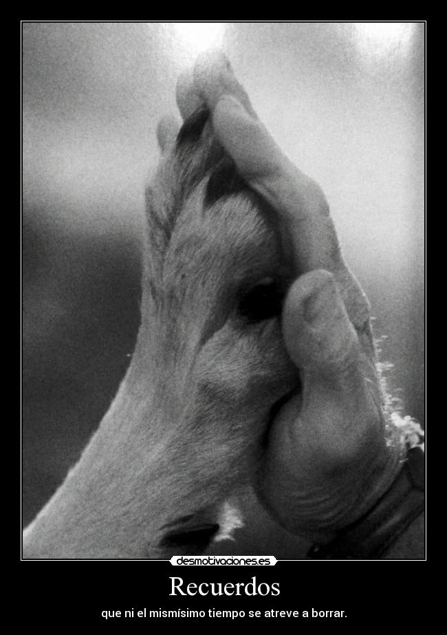 Recuerdos - que ni el mismísimo tiempo se atreve a borrar.