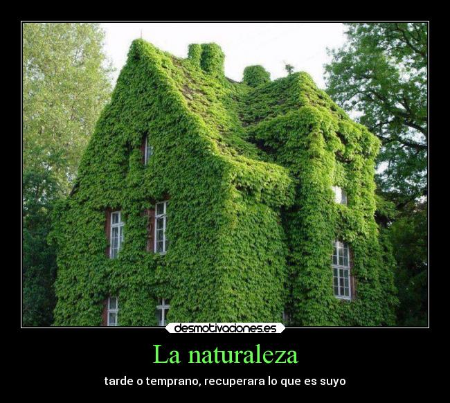 carteles naturaleza mundo naturaleza desmotivaciones