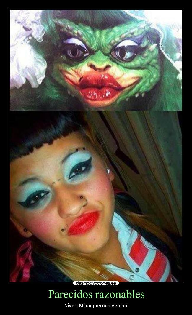 Parecidos razonables - 