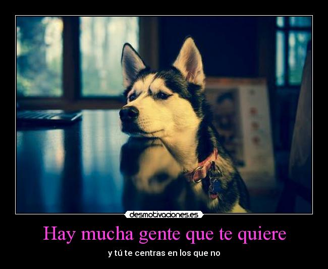 Hay mucha gente que te quiere - y tú te centras en los que no