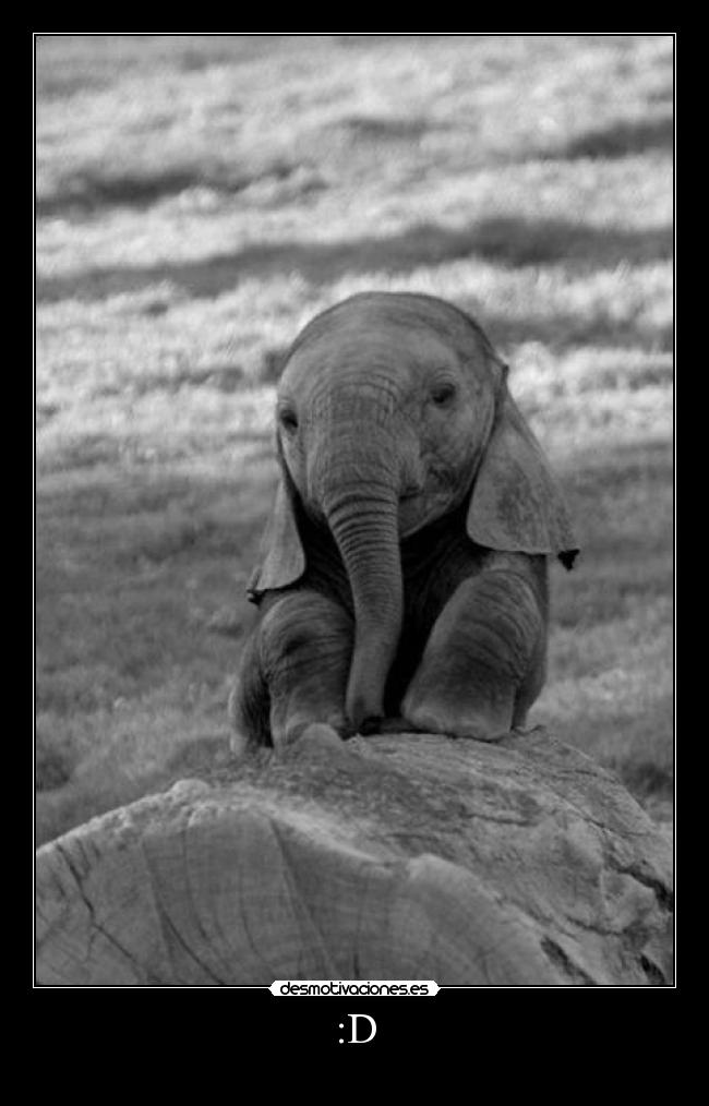 carteles hnkhvh desmotivaciones