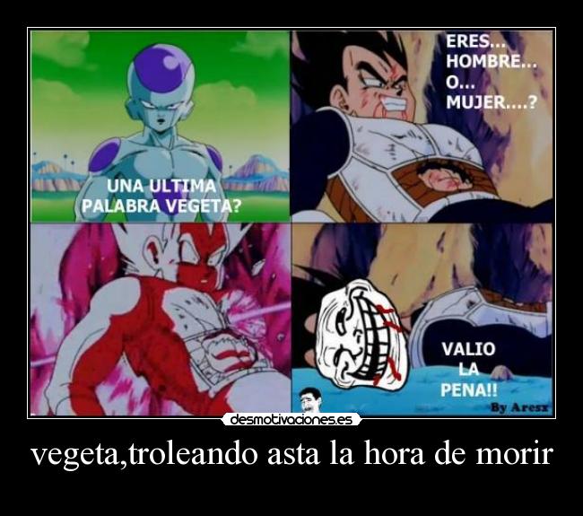 vegeta,troleando asta la hora de morir -
