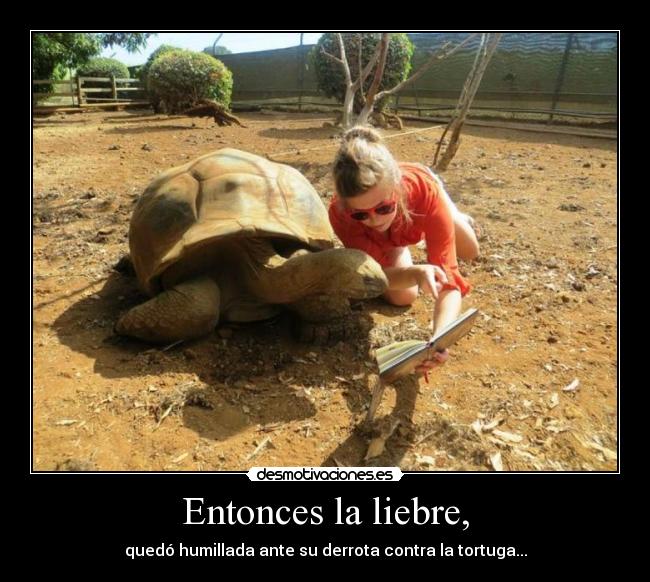 Entonces la liebre, - 
