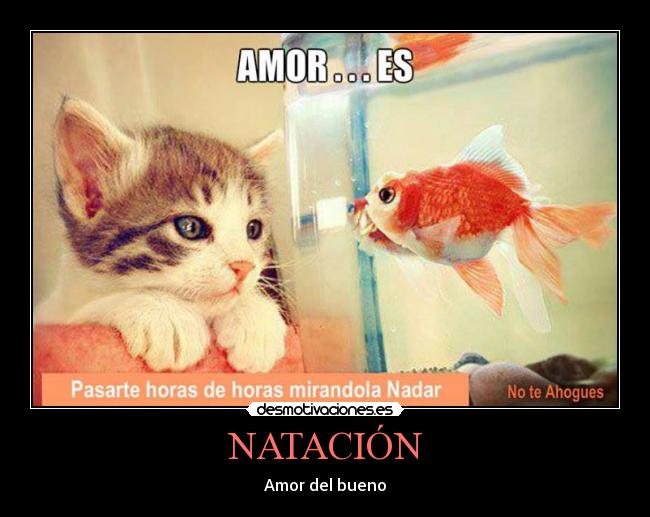 NATACIÓN - Amor del bueno