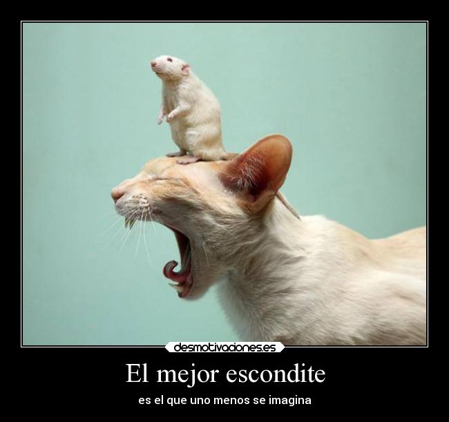 El mejor escondite - es el que uno menos se imagina