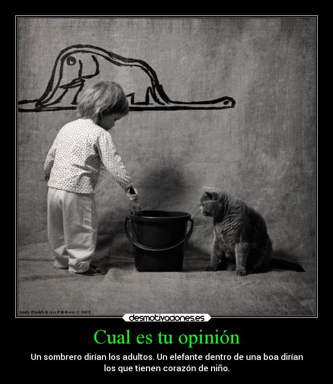 Cual es tu opinión -