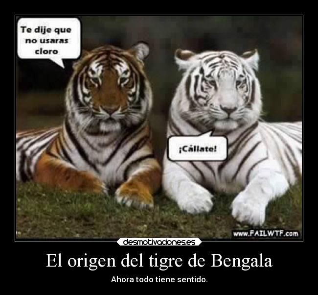 El origen del tigre de Bengala -
