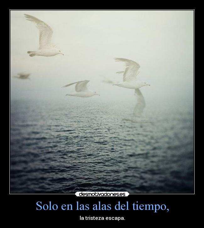Solo en las alas del tiempo, - la tristeza escapa.
