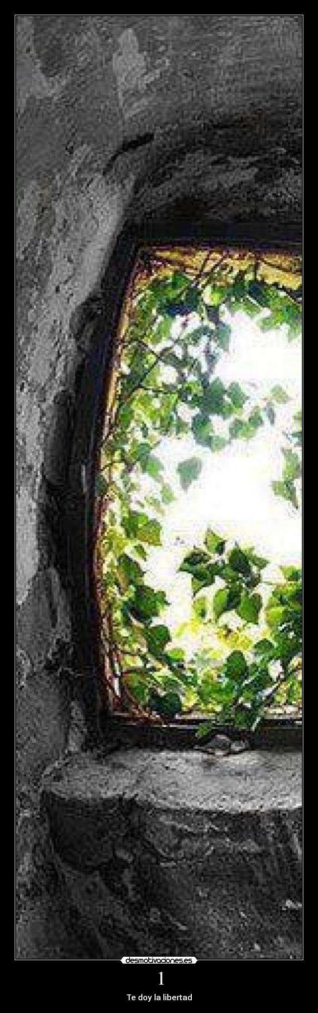1 - Te doy la libertad