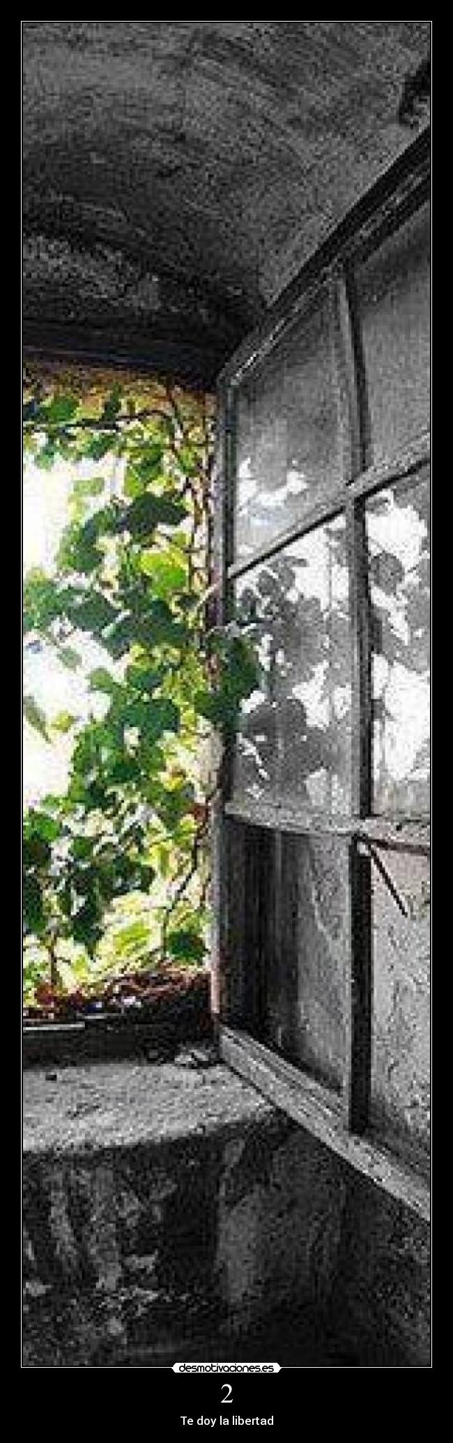 2 - Te doy la libertad
