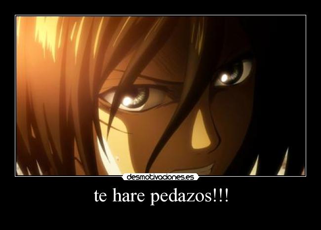 carteles mikasa enojada desmotivaciones