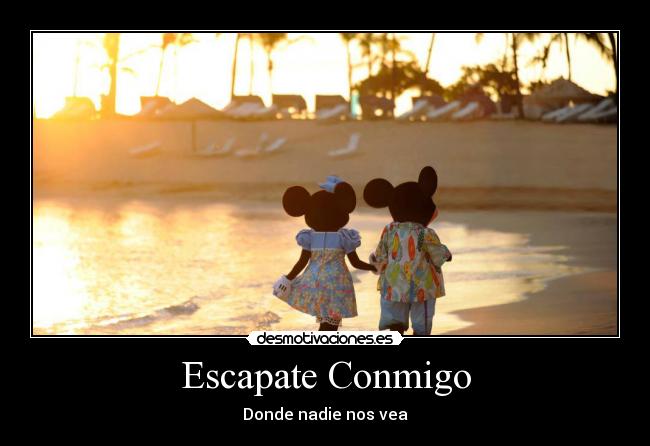 carteles amor verdadero desmotivaciones