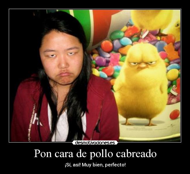 Pon cara de pollo cabreado - 
