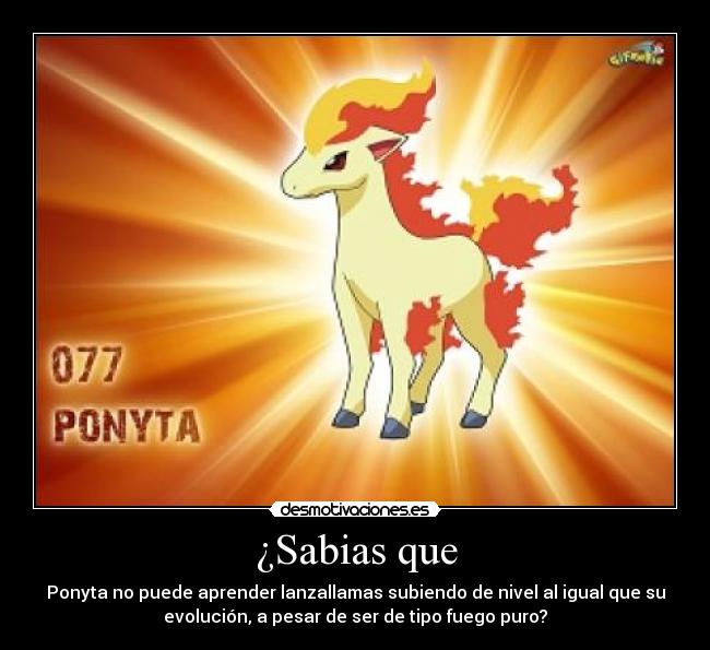 ¿Sabias que - Ponyta no puede aprender lanzallamas subiendo de nivel al igual que su
evolución, a pesar de ser de tipo fuego puro?