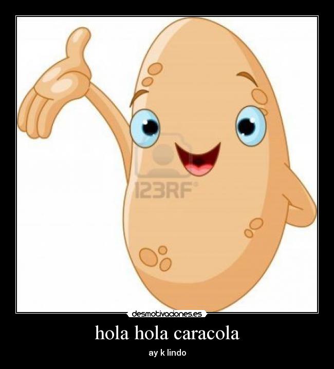 hola hola caracola - ay k lindo
