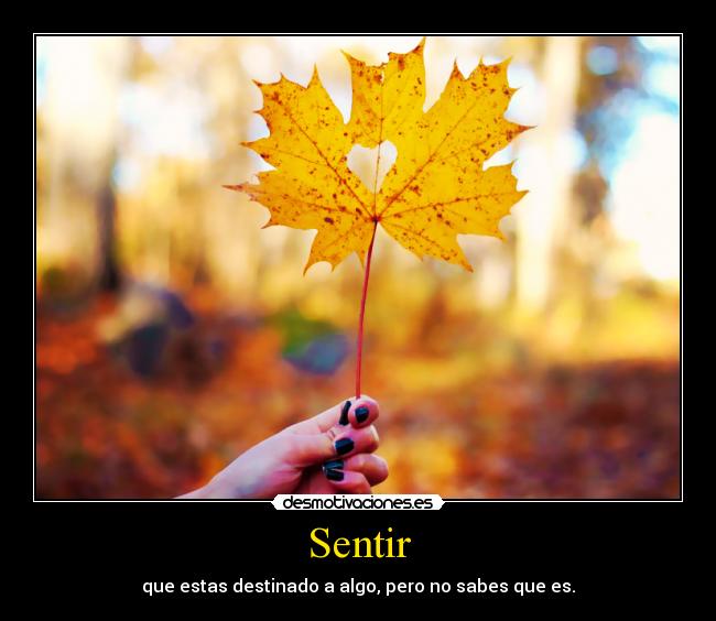 Sentir -