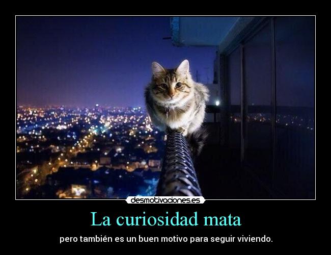 La curiosidad mata -