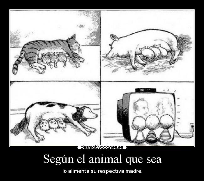 Según el animal que sea -