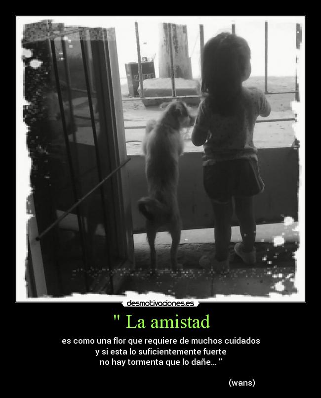 La amistad - es como una flor que requiere de muchos cuidados
y si esta lo suficientemente fuerte
no hay tormenta que lo dañe...
(wans)