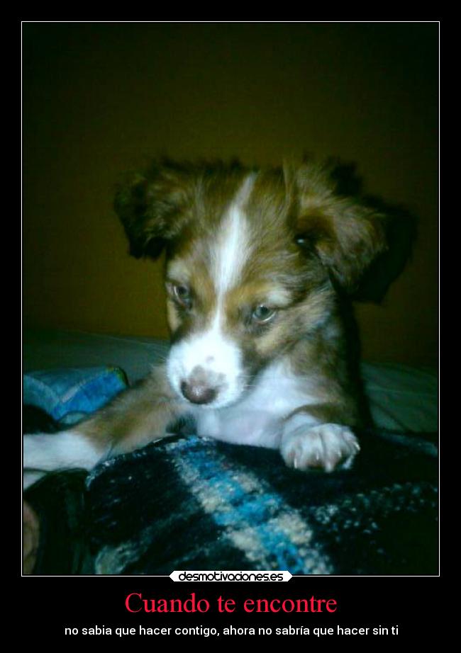 Cuando te encontre -