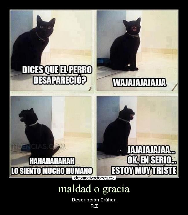 maldad o gracia - Descripción Gráfica
R.Z