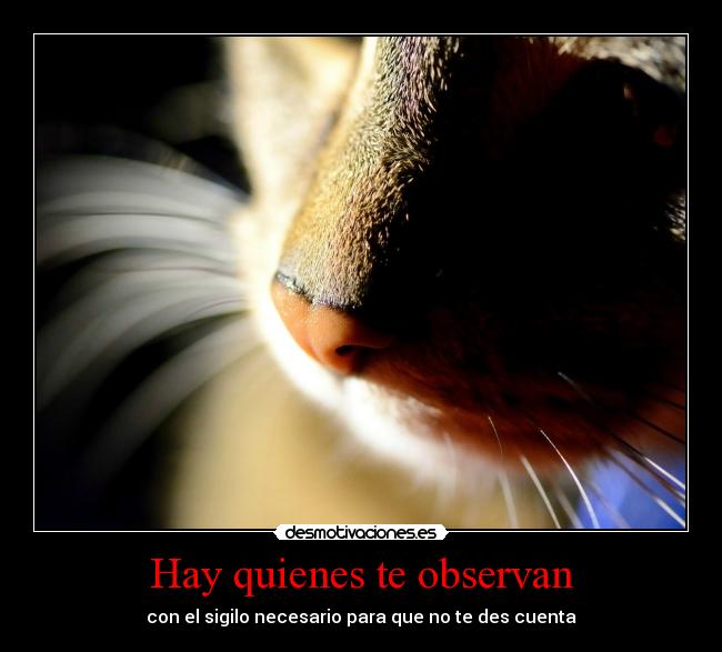 Hay quienes te observan -