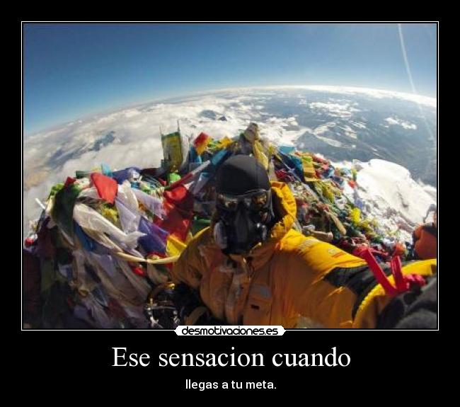 carteles meta desmotivaciones